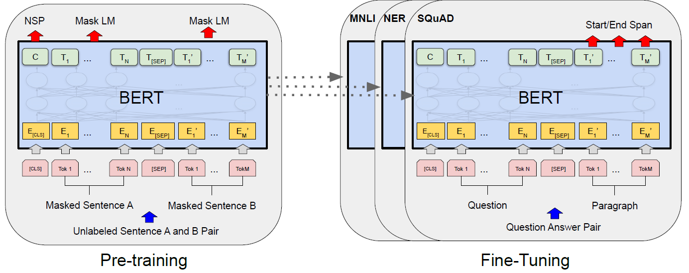 BERT training mechanisms